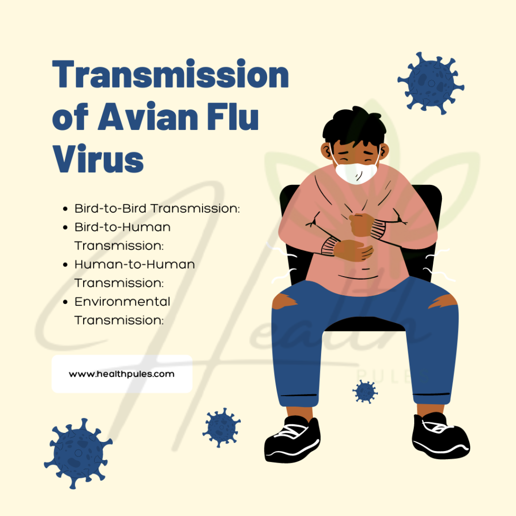 Avian Flu Virus