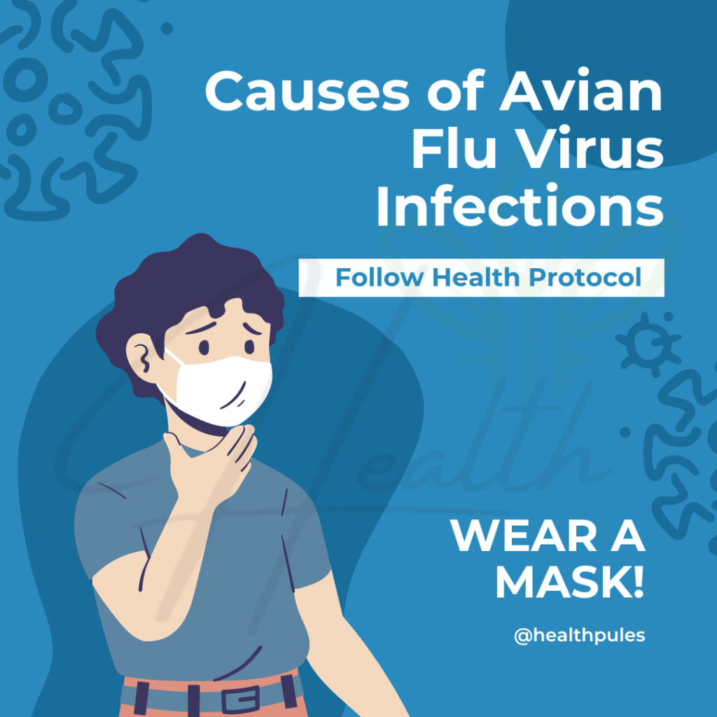 Avian Flu Virus