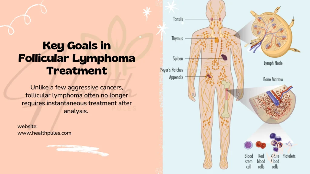 Follicular Lymphoma